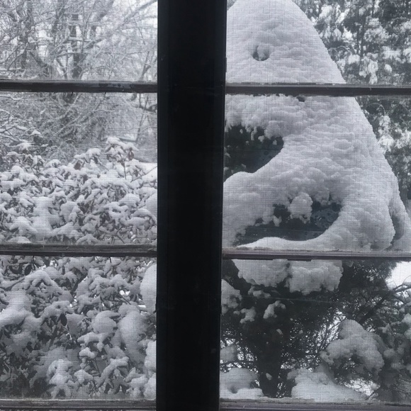 Meet your Posher, Lorelei - Picture 1 of 1